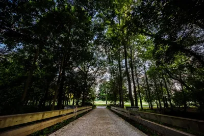 Siciliano Landscape Company - Landscape Design in Red Bank, NJ