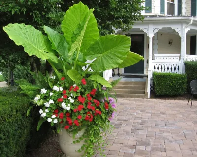 Sisson Landscapes - Landscape Maintenance in Great Falls, VA