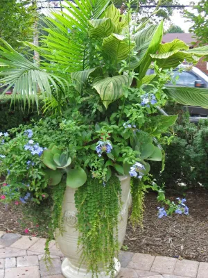 Sisson Landscapes - Landscape Maintenance in Great Falls, VA