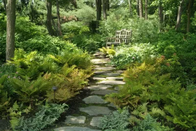 Sisson Landscapes - Landscape Maintenance in Great Falls, VA