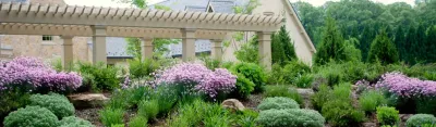 Sisson Landscapes - Landscape Maintenance in Great Falls, VA
