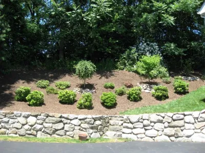 Sleepy Hollow Landscape & Design, LLC - Tree & Shrub Care in Westport, CT