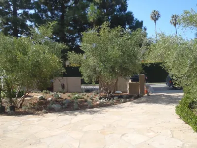 Sodder Studio - Drought-Resistant Lawn Installation in Culver City, CA