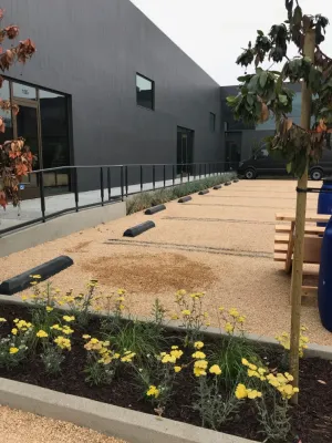 Sodder Studio - Drought-Resistant Lawn Installation in Culver City, CA