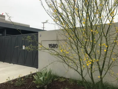 Sodder Studio - Drought-Resistant Lawn Installation in Culver City, CA