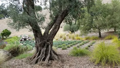 Sonoma Landscapes - Garden Remodeling in Glen Ellen, CA