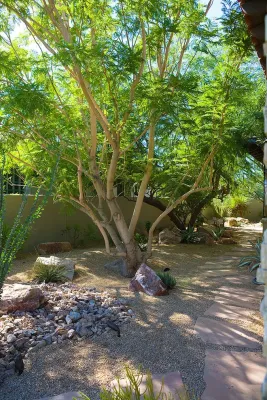 Sonora Gardens Nursery and Landscape - Tree & Shrub Care in Bermuda Dunes, CA
