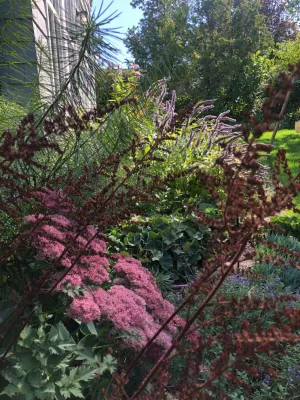 Sophie Bignet Landscape Design - Garden Remodeling in Boston, MA