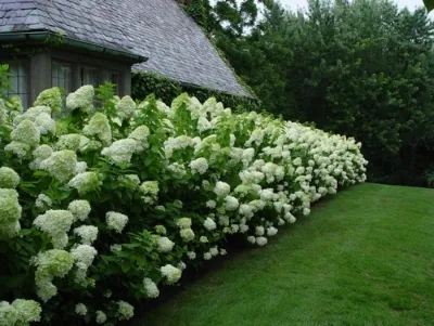 Landscape Gallery — Landscape Design project by Soulliere Landscape And Garden Center
