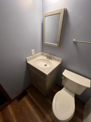 Hall Bathroom Renovation - Onyx Tub Surround — Home Renovation & Remodeling Services project by IMG Construction Services