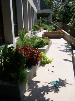 Christopher Towers Senior Living — Landscape Design project by Southern Vistas Inc in Columbia