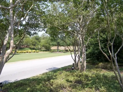 Southern Vistas Inc - Garden Remodeling in Columbia, SC