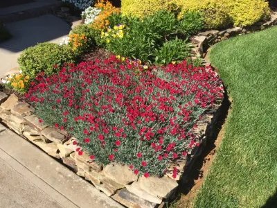 SouthPark Landscape - Garden Remodeling in Charlotte, NC