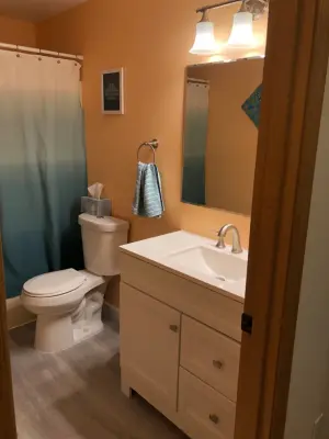 Renovation of Guest Bathroom — Home Renovation & Remodeling Services project by Deft Construction LLC