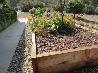 SP Gardens - Susanna Pagan Landscape Design - Patio Design & Installation in Carlsbad, CA