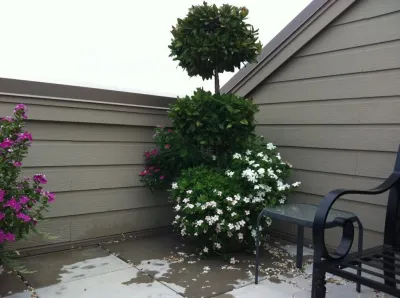 Brumley Gardens - Landscape Construction in Dallas, TX