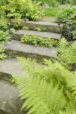 Avant Gardening & Landscaping Inc - Landscape Maintenance in Mcfarland, WI