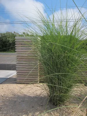 Spaces Landscape Architecture - Fence Installation in Quogue, NY