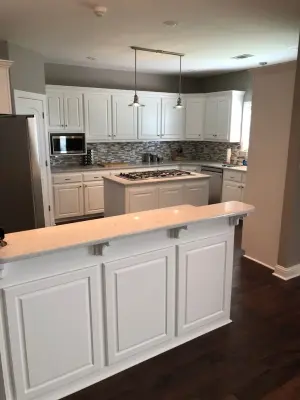 Modern Kitchen Renovation — Home Renovation & Remodeling Services project by Neil Robinson Custom Homes, LLC
