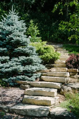 Avant Gardening & Landscaping Inc - Landscape Maintenance in Mcfarland, WI