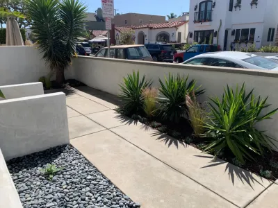 Belmont Modern by Avenue 39 Landscape Design
