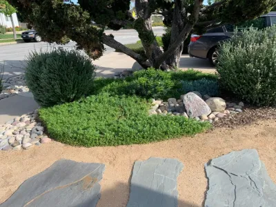Brea Residence — Landscape Design project by Avenue 39 Landscape Design in Brea