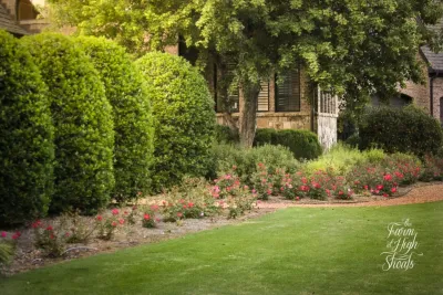 SPG Planners + Engineers - Garden Remodeling in Athens, GA
