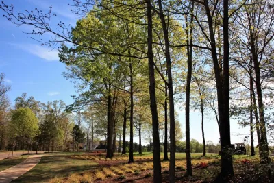 SPG Planners + Engineers - Garden Remodeling in Athens, GA