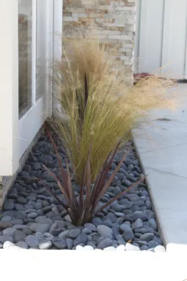 Cliff May Rancho 1 — Landscape Design project by Avenue 39 Landscape Design in Long Beach