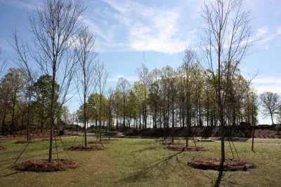 SPG Planners + Engineers - Garden Remodeling in Athens, GA