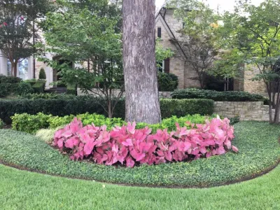 Splendid Gardens - Landscape Maintenance in Dallas, TX