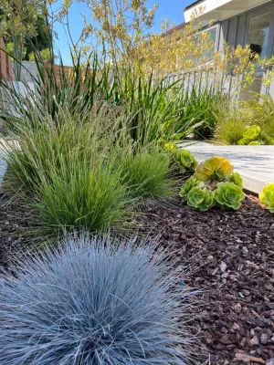 Cliff May Rancho 5 — Landscape Design project by Avenue 39 Landscape Design in Long Beach