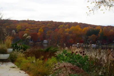 Staghorn NYC - Landscape Design in Brooklyn, NY