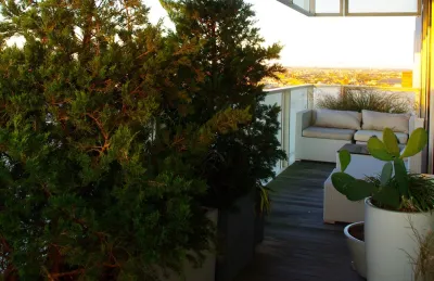 Staghorn NYC - Landscape Design in Brooklyn, NY