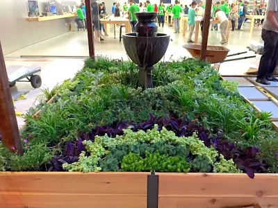 Spring Garden Show at South Coast Plaza — Landscape Design project by Star Landscape & Exterior Designs, Inc