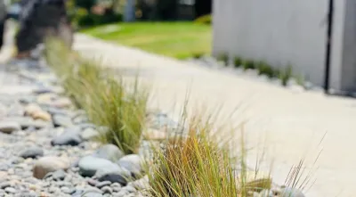 Star Landscape & Exterior Designs, Inc - Landscape Design in Long Beach, CA