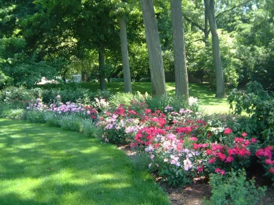 Stephen Cox-Cox Landscape & Garden Design - Garden Remodeling in Grand Rapids, MI
