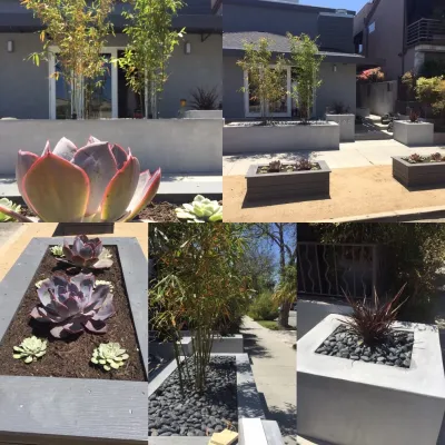 The Toledo — Landscape Design project by Avenue 39 Landscape Design