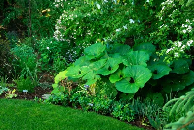 Stephen Cox-Cox Landscape & Garden Design - Garden Remodeling in Grand Rapids, MI
