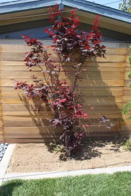 Avenue 39 Landscape Design - Patio Design & Installation in Seal Beach, CA