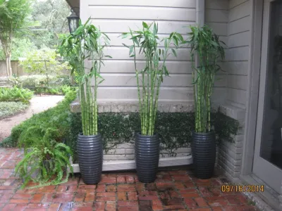 Container Project September 2014 — Landscape Design project by Sterling Design & Landscape Resources
