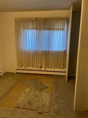 Blue Pine Homes - Window Installation & Replacement in Wellington, CO