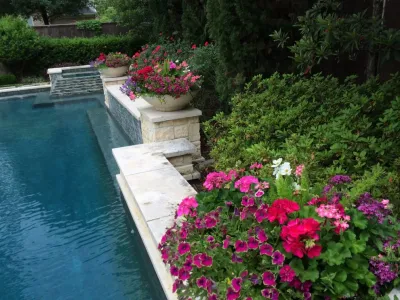 Spring Color Low Bowls — Landscape Design project by Sterling Design & Landscape Resources