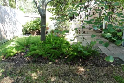 Landscape Revitalization- June 2013 — Landscape Design project by Sterling Design & Landscape Resources