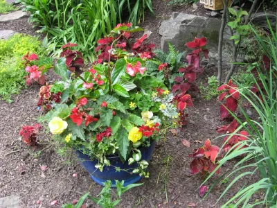 Stone Creek Landscaping - Landscape Design in Carversville, PA