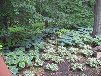 Stone Creek Landscaping - Landscape Design in Carversville, PA