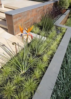STONE + GROVE Landscape Architects - Landscape Design in Solana Beach, CA