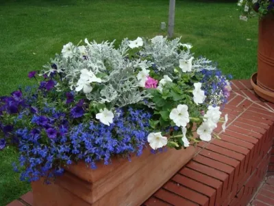 B. Gardening Landscape Design - Landscape Design in Denver, CO