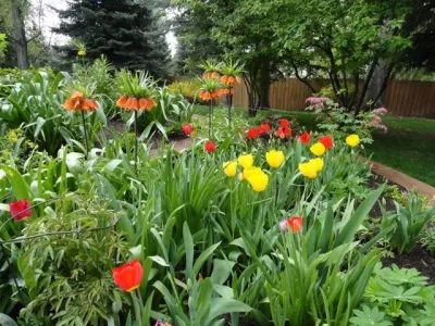B. Gardening Landscape Design - Landscape Design in Denver, CO