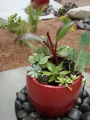 B. Gardening Landscape Design - Landscape Design in Denver, CO
